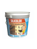 INDEX SILICOLOR IDROPITTURA DECORATIVA DILOSSANICA
