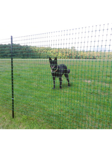 TENAX Ranch – Rete Recinzione Plastica Resistente per Giardini e Animali