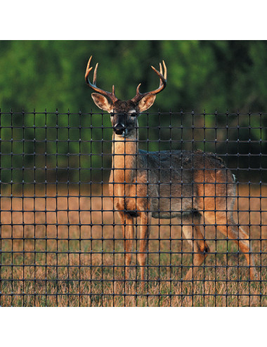 TENAX C-FLEX RETE DA RECINZIONE IN PLASTICA ANTI-CERVI, UNA PROTEZIONE ROBUSTA CONTRO INTRUSIONI ALLE AREE ESTERNE