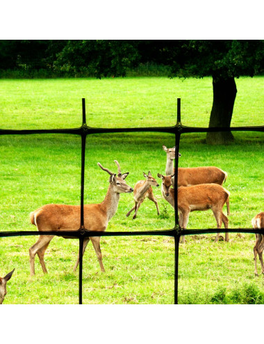 TENAX C-FLEX – Rete Recinzione Anticervo in Polipropilene