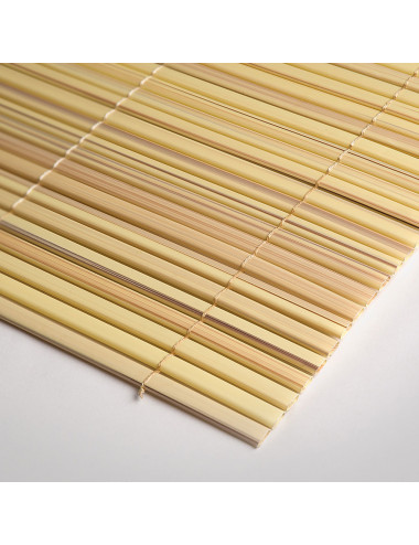 Canniccio Sintetico Schermante TENAX COLORADO – Frangivista Bifacciale