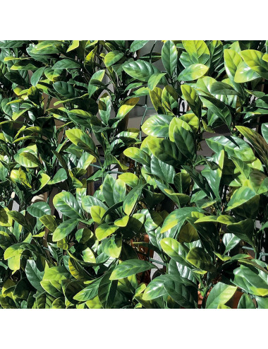 TENAX DIVY LAURUS PLUS SIEPE ARTIFICIALE CON FOGLIE 3D IN POLIETILENE SU RETE PLASTICA