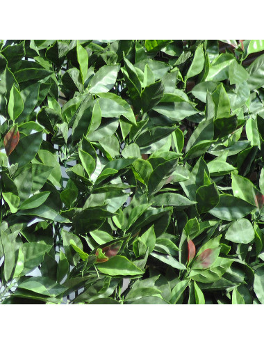 TENAX DIVY PHOTINIA PLUS SIEPE ARTIFICIALE CON FOGLIE 3D IN POLIETILENE SU RETE PLASTICA