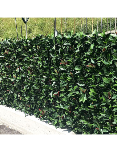Siepe Sintetica 3D Fotinia – Schermatura Naturale per Giardini e Balconi
