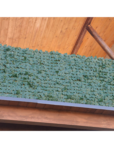 Siepe Sintetica a Foglie di Edera – Privacy Totale per Giardini e Balconi