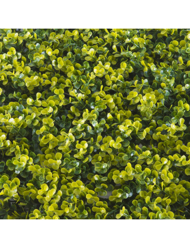 TENAX DIVY PANEL BUXUS PANNELLO MODULARE CON FOGLIE IN POLIETILENE TIPO BOSSO, VERDE CHIARO