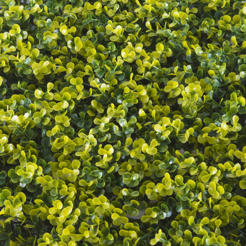 Siepe Artificiale Buxus a Pannelli – Giardino Verticale Modulare