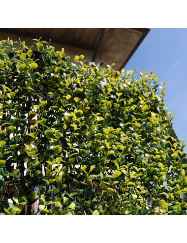 Siepe Artificiale Buxus a Pannelli – Giardino Verticale Modulare
