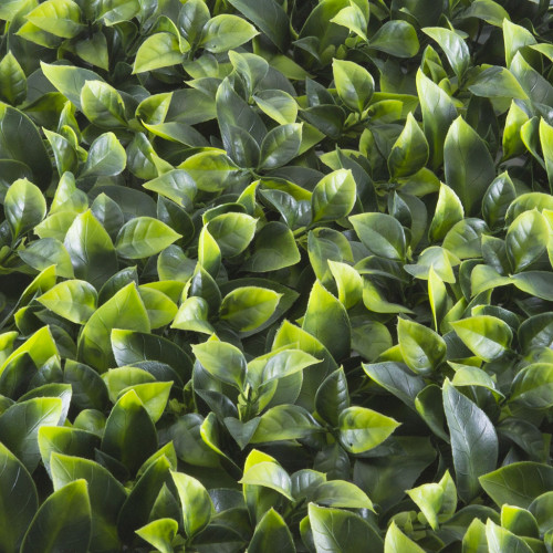 Siepe Artificiale Pothos a Pannelli – Giardino Verticale Modulare