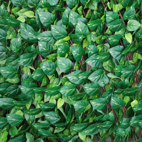 Siepe Sintetica Lauro su Traliccio Estensibile in Legno – Privacy e Decorazione