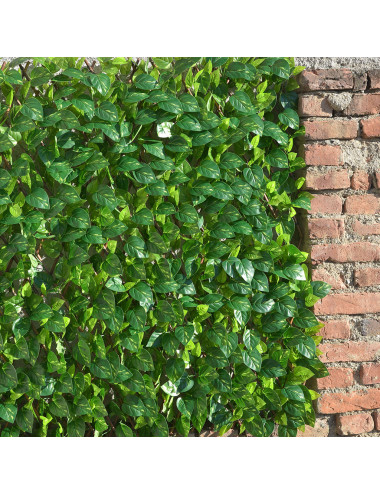 Siepe Sintetica Lauro su Traliccio Estensibile in Legno – Privacy e Decorazione