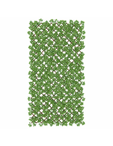 TENAX DIVY TRELLIS PITOSFORO FOGLIE PE TIPO PITOSFORO SU TRALICCIO IN PLASTICA