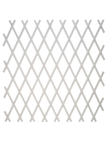 TENAX TREPLAS TRALICCIO ESTENSIBILE IN PVC PER IL SOSTEGNO A MURO DI RAMPICANTI