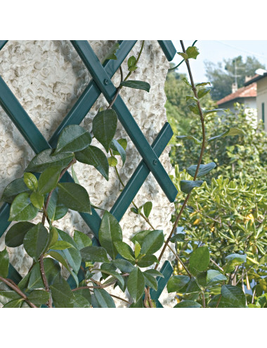 Traliccio Decorativo Estensibile in PVC | Supporto per Piante e Balconi