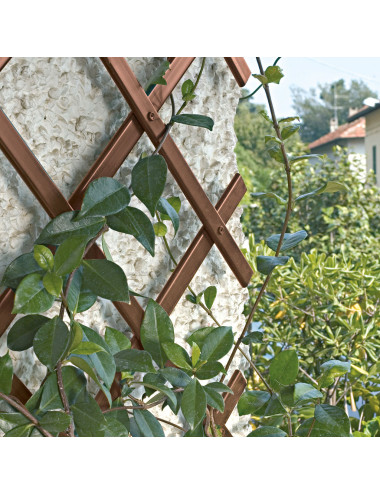 Traliccio Decorativo Estensibile in PVC | Supporto per Piante e Balconi