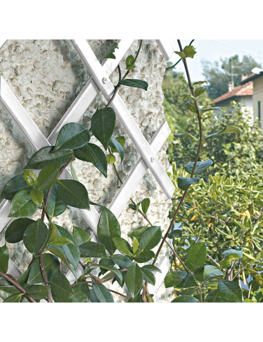 Traliccio Decorativo Estensibile in PVC | Supporto per Piante e Balconi