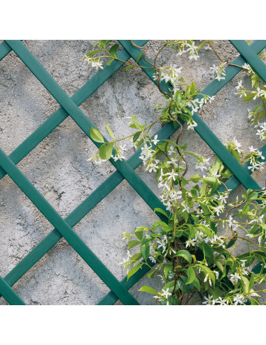 Traliccio Decorativo Estensibile in PVC | Supporto per Piante e Balconi