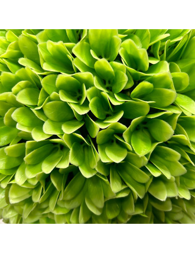 Sfera Decorativa Artificiale Dahlia | Realistica per Interni ed Esterni