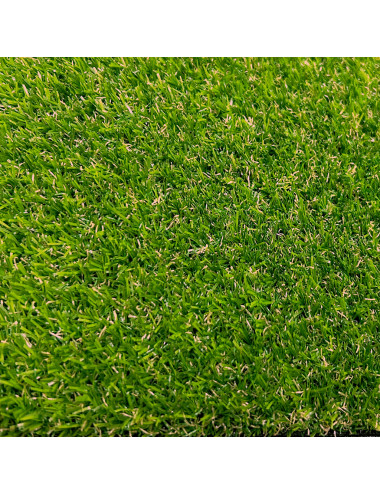 TENAX DERBY PRATO SINTETICO 17 mm, FILI DIRITTI CON LARGHEZZA MOLTO AMPIA TIPO "SPINE" IN PE E FILI ARRICCIATI IN PP