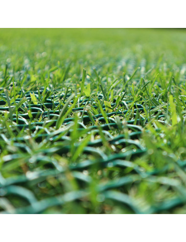 Rete Rinforzo Prato HDPE | Protezione Antistrappo per Campi e Giardini