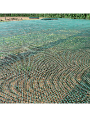 Rete Rinforzo Prato HDPE | Protezione Antistrappo per Campi e Giardini