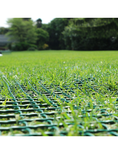 Rete Rinforzo Prato HDPE | Protezione Antistrappo per Campi e Giardini