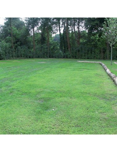 Rete Rinforzo Prato HDPE | Protezione Antistrappo per Campi e Giardini