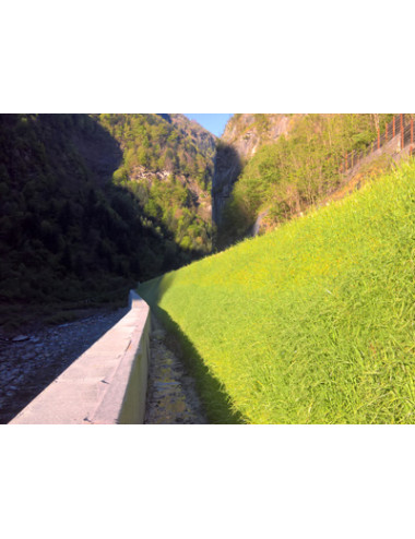 Feltro Vegetativo Preseminato FVP | Biodegradabile e Antierosione