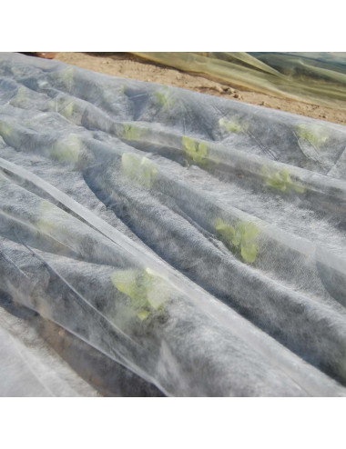 TENAX ORTOCLIMA VELO PROTETTIVO LEGGERO FORZANTE PER COLTURE, IN POLIPROPILENE 17 G/M²