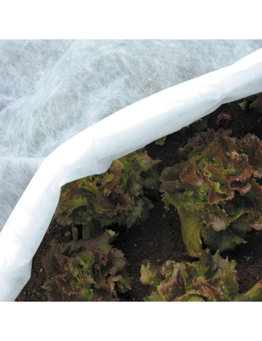 TENAX ORTOCLIMA PLUS VELO PROTETTIVO INVERNALE PESANTE PER COLTURE, IN POLIPROPILENE 30 G/M²