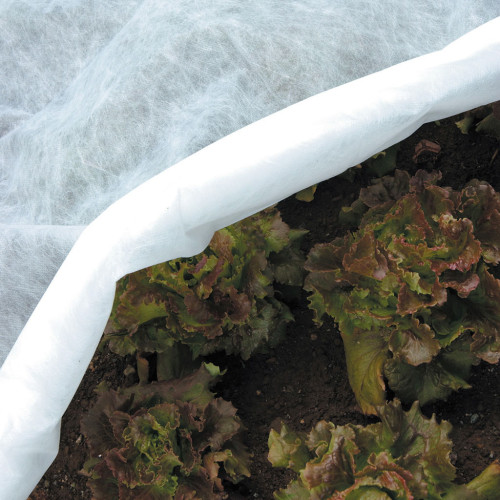 Velo Protettivo Pesante in Polipropilene | Protezione Piantine, Ortaggi e Frutteto