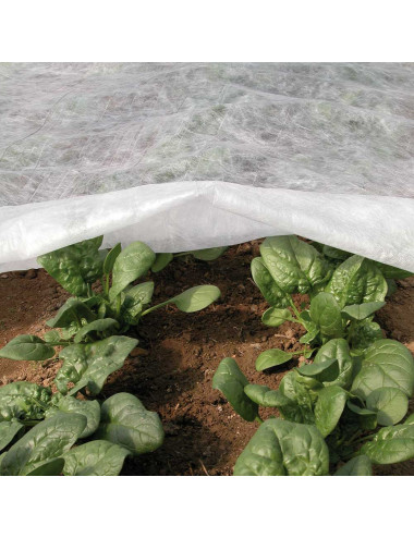 TENAX ORTOCLIMA PLUS VELO PROTETTIVO INVERNALE PESANTE PER COLTURE, IN POLIPROPILENE 30 G/M²