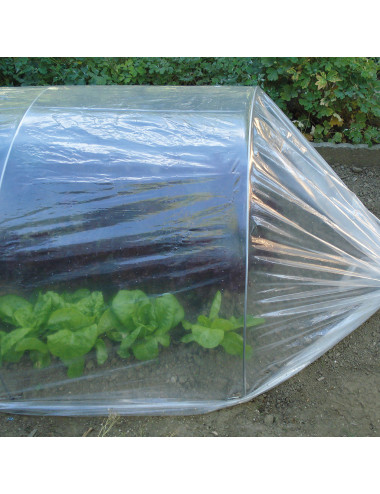 TENAX DOT FILM FILM TRASPARENTE MICROFORATO PER PICCOLI TUNNEL ORTO, SPESSORE 40 MICRON