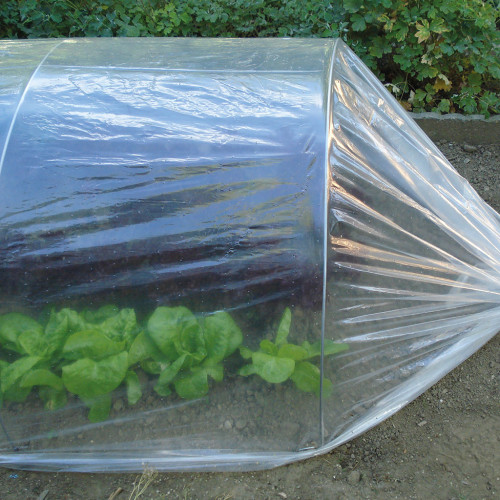 Film Microforato per Colture Tenax Dot Film | Protezione Orto e Microclima