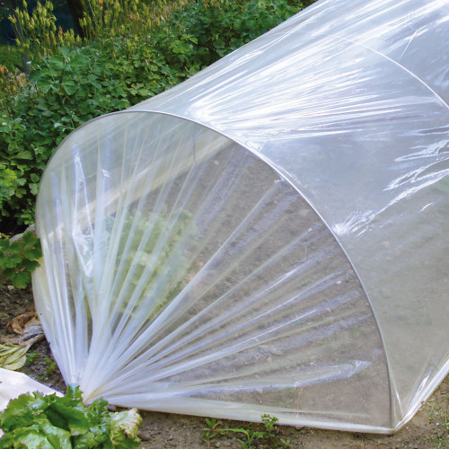 Film in Polietilene per Orto | Protezione Germogli, Frutti e Microclima