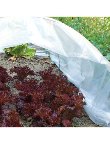 Film in Polietilene per Orto | Protezione Germogli, Frutti e Microclima