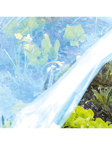 Film in Polietilene per Orto | Protezione Germogli, Frutti e Microclima