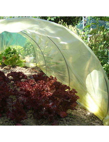 TENAX SUN FILM FILM GIALLO IMPERMEABILE PER PICCOLI TUNNEL ORTO, SPESSORE 70 MICRON