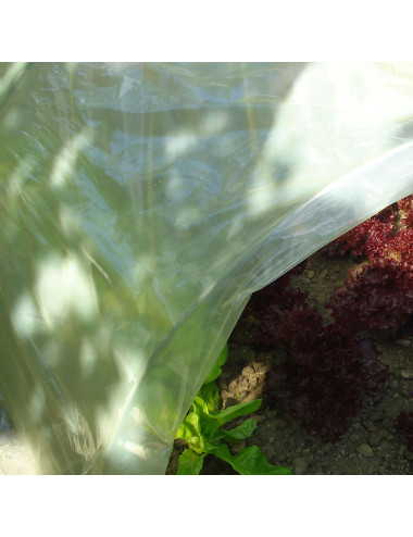 Film in Polietilene Giallo per Orto | Protezione Ortaggi e Microclima