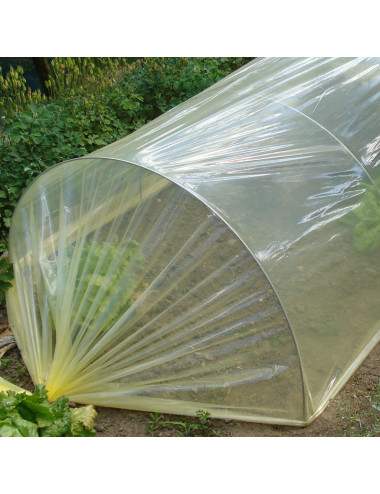 Film in Polietilene Giallo per Orto | Protezione Ortaggi e Microclima