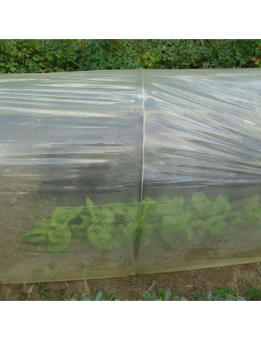 Film in Polietilene Giallo per Orto | Protezione Ortaggi e Microclima