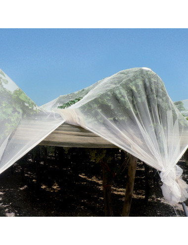 Rete Antigrandine e Forzante Tenax Iridium | Protezione Professionale Colture e Frutti