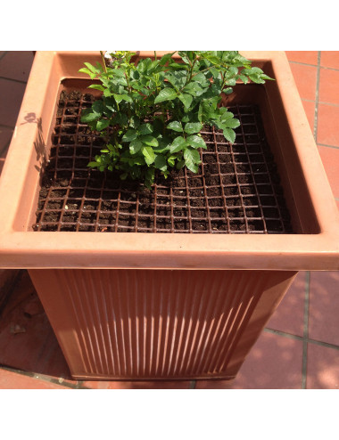 Rete Protettiva TENAX QUADRA 10×10 mm | Sicura per Balconi, Giardino e Piante