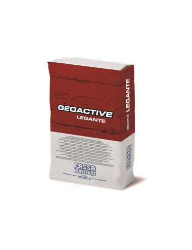 FASSA GEOACTIVE LEGANTE LEGANTE CEMENTIZIO ESPANSIVO SUPERFLUIDO