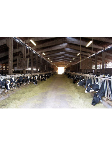 Calce idrata fiore ventilata | Per intonaci e uso agricolo
