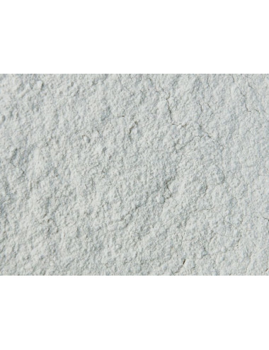 BACCHI ASCIUGONE INERTE ASSORBENTE SPECIFICO PER SVERSAMENTI